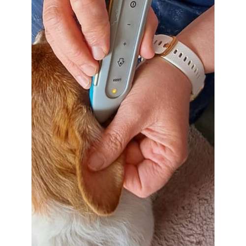 Hundeauslaufgebiet-Lauf-Stall Tierphysiotherapie-Bild