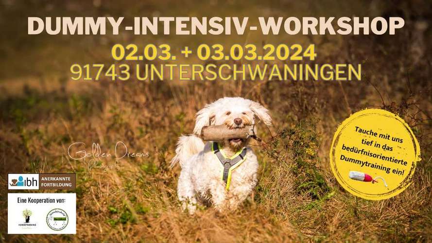 Hundeauslaufgebiet-Hundetraining Scadi Müller -Bild