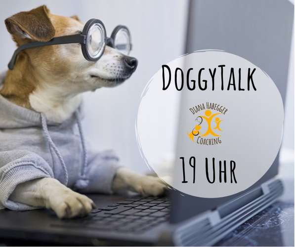 Hundeauslaufgebiet-Diana Habegger Coaching & Training für Hundehalter-Bild