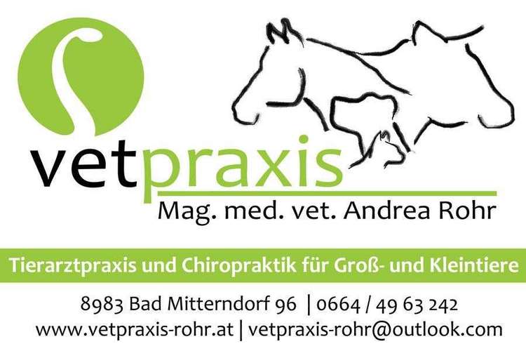 Hundeauslaufgebiet-Vetpraxis Mag. med.vet. Andrea Rohr-Bild