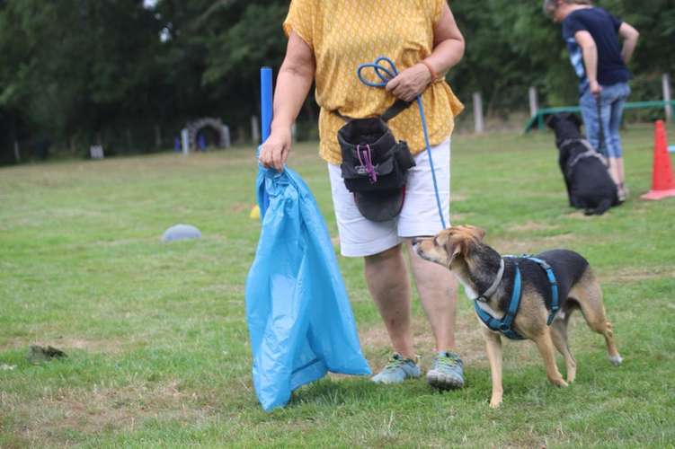 Hundeauslaufgebiet-Hundesportverein Bockenem-Bild