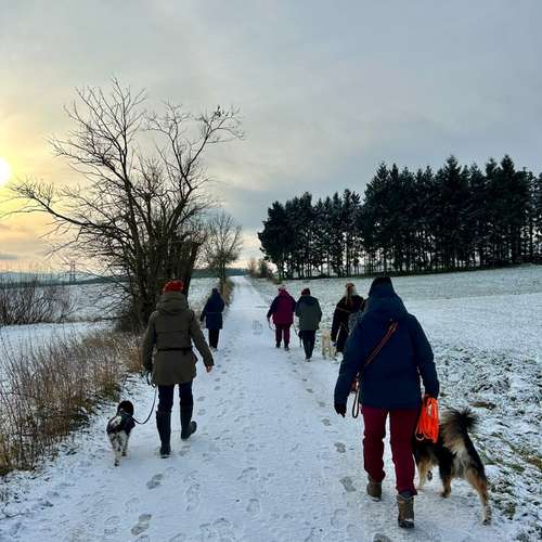 Hundeauslaufgebiet-Hundeschule Liebes Pfoten-Bild