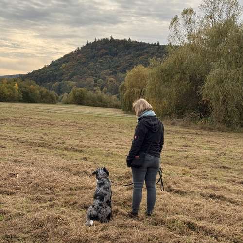 Hundeauslaufgebiet-Hundeschule Liebes Pfoten-Bild