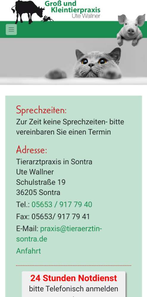 Hundeauslaufgebiet-Tierarztpraxis in Sontra-Bild