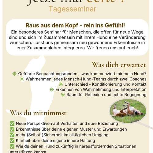 Hundeauslaufgebiet-FreiGeistHund-Bild