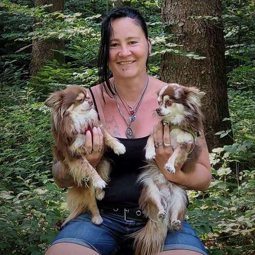 Hundeauslaufgebiet-Hundebetreuung Gommiswald-Bild