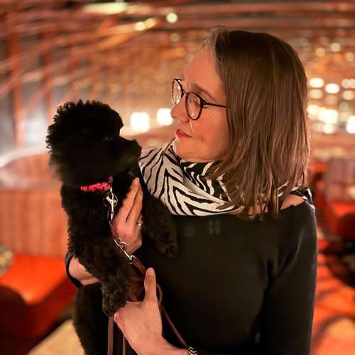 Hundeauslaufgebiet-Engelshunde-Bild