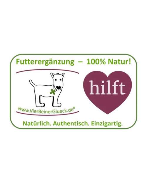 Hundeauslaufgebiet-VierBeinerGlück GmbH-Bild