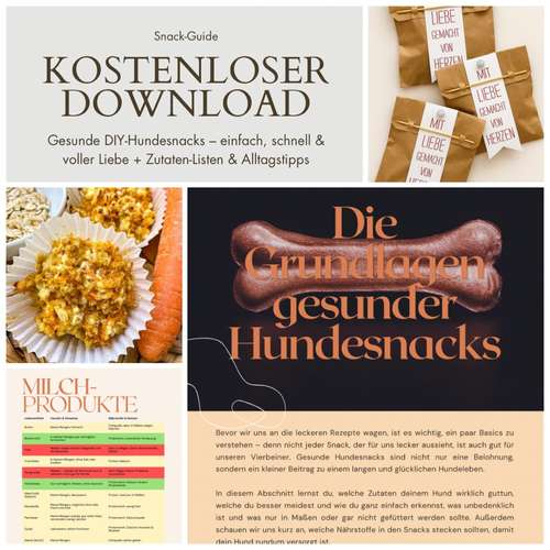 Hundeauslaufgebiet-PawVybz-Bild