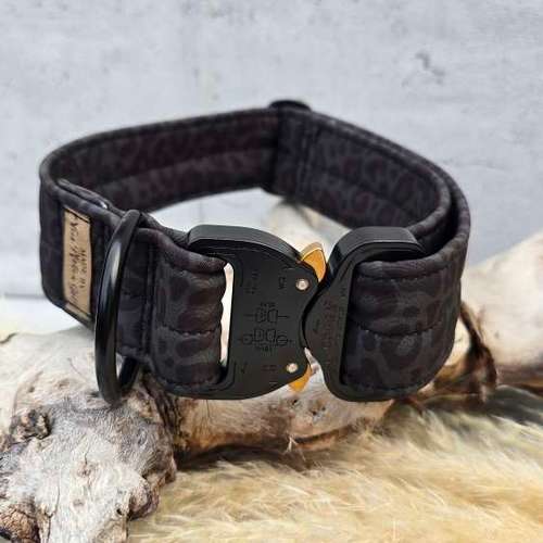 Hundeauslaufgebiet-Vierpfotengold.de-Bild