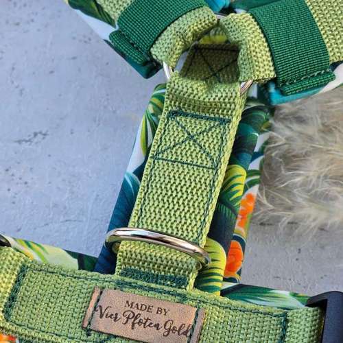 Hundeauslaufgebiet-Vierpfotengold.de-Bild