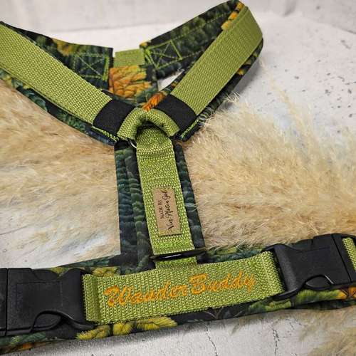 Hundeauslaufgebiet-Vierpfotengold.de-Bild