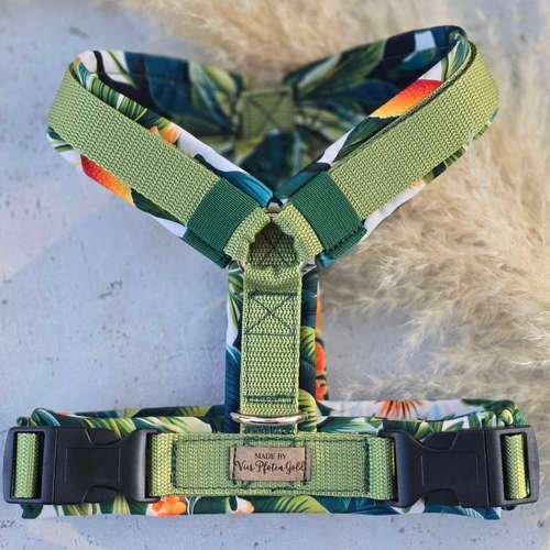 Hundeauslaufgebiet-Vierpfotengold.de-Bild