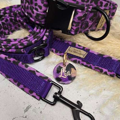 Hundeauslaufgebiet-Vierpfotengold.de-Bild