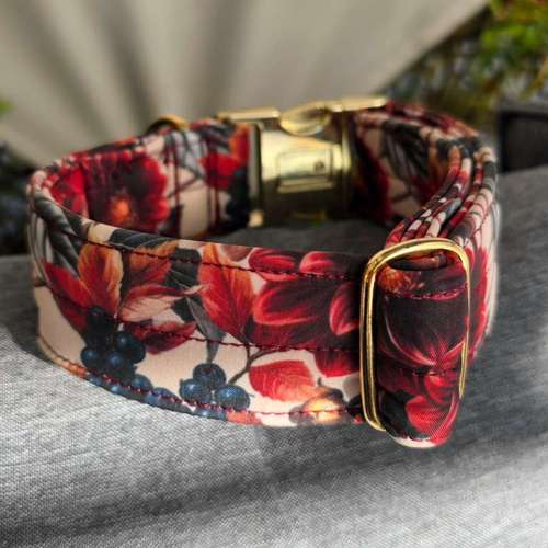 Hundeauslaufgebiet-Vierpfotengold.de-Bild