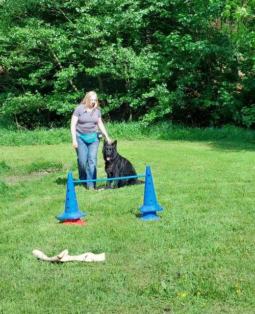 Hundeauslaufgebiet-Hundeschule CD Traumhund-Bild
