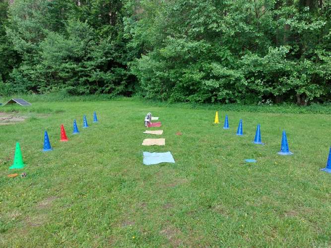 Hundeauslaufgebiet-Hundeschule CD Traumhund-Bild