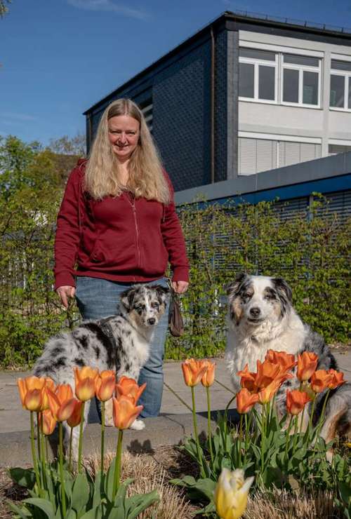 Hundeauslaufgebiet-Hundeschule CD Traumhund-Bild