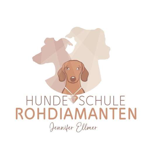 Hundeauslaufgebiet-Hundeschule Rohdiamanten-Bild