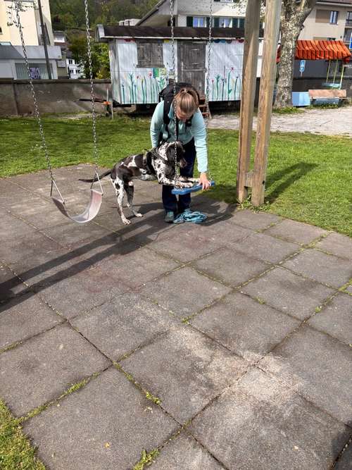 Hundeauslaufgebiet-Pfotenperspektive-Bild