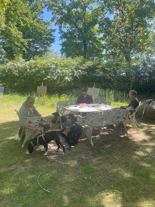 Hundeauslaufgebiet-Hundeschule Tierisch Clever-Bild