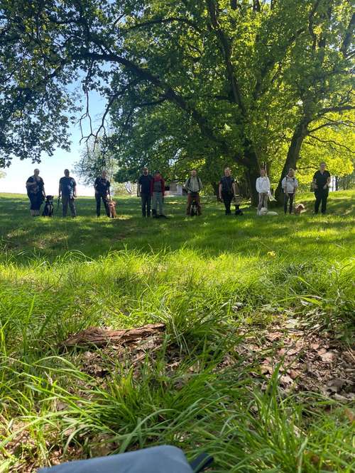 Hundeauslaufgebiet-Hundeschule Tierisch Clever-Bild