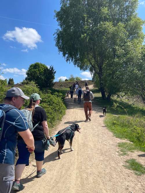 Hundeauslaufgebiet-Hundeschule Tierisch Clever-Bild