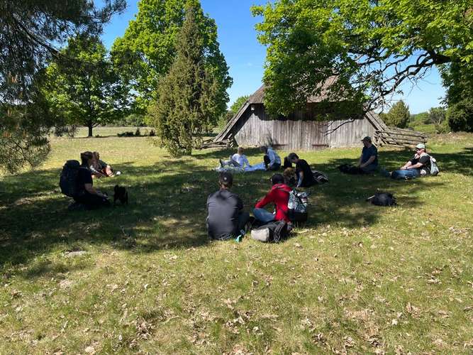 Hundeauslaufgebiet-Hundeschule Tierisch Clever-Bild