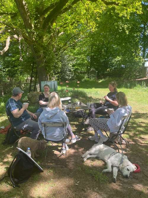 Hundeauslaufgebiet-Hundeschule Tierisch Clever-Bild