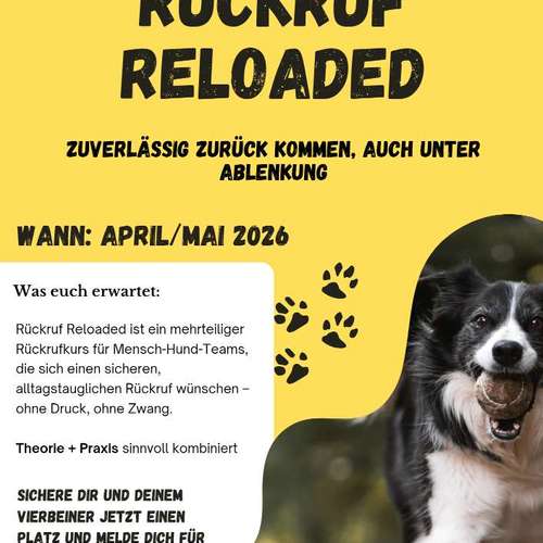 Hundeauslaufgebiet-Pfotenfreunde-Bild