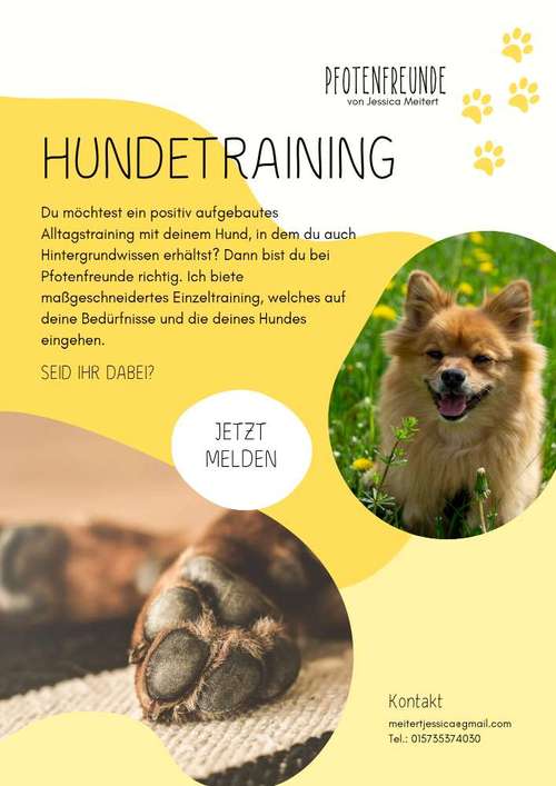 Hundeauslaufgebiet-Pfotenfreunde-Bild