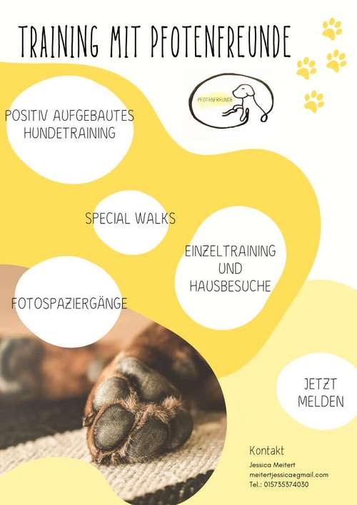 Hundeauslaufgebiet-Pfotenfreunde-Bild