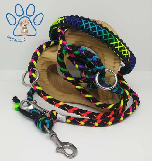 Hundeauslaufgebiet-dogtastic.at - Pfotenstarkes Zubehör für Hund und Halter-Bild