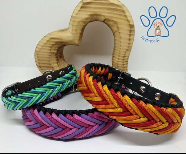 Hundeauslaufgebiet-dogtastic.at - Pfotenstarkes Zubehör für Hund und Halter-Bild
