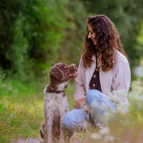 Hundeauslaufgebiet-Isi-Dogs Hundetraining-Bild