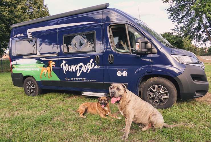 Hundeauslaufgebiet-TourDogs Wohnmobil-Vermietung-Bild