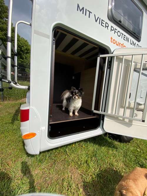 Hundeauslaufgebiet-TourDogs Wohnmobil-Vermietung-Bild