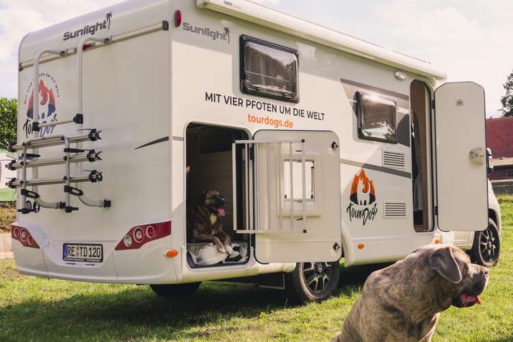 Hundeauslaufgebiet-TourDogs Wohnmobil-Vermietung-Bild