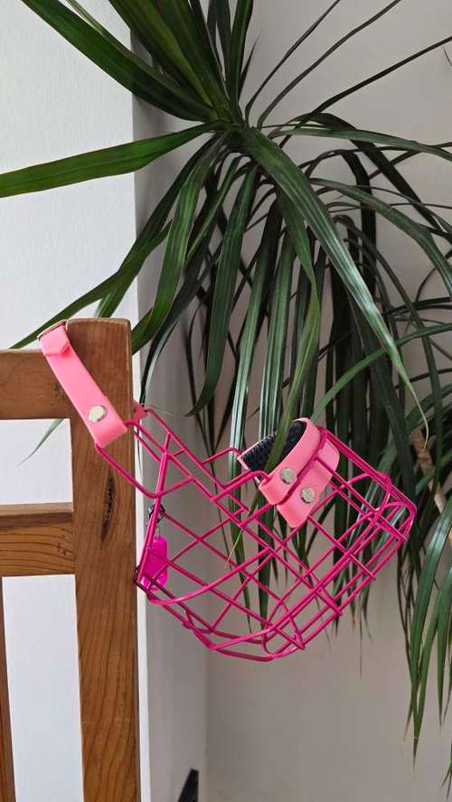 Hundeauslaufgebiet-Hund Kunterbunt-Bild