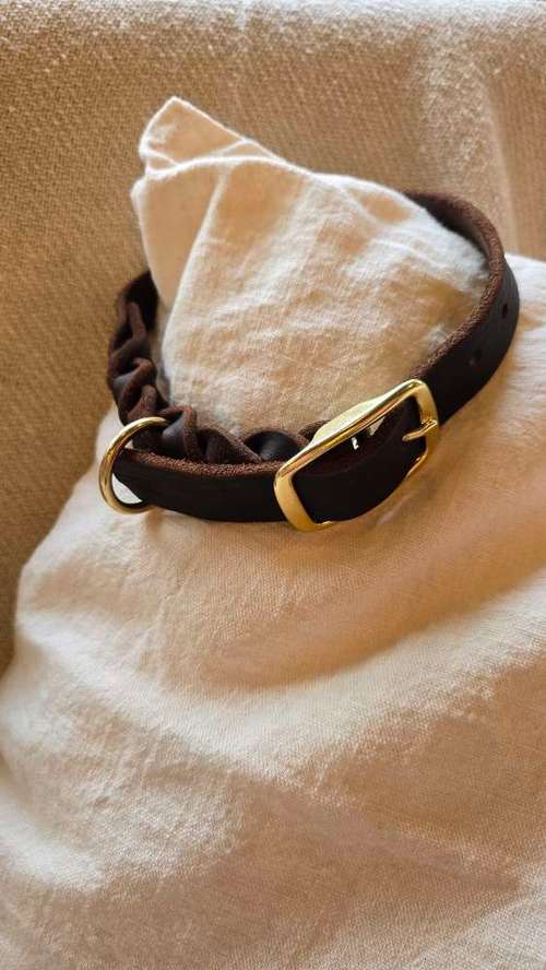 Hundeauslaufgebiet-Hund Kunterbunt-Bild