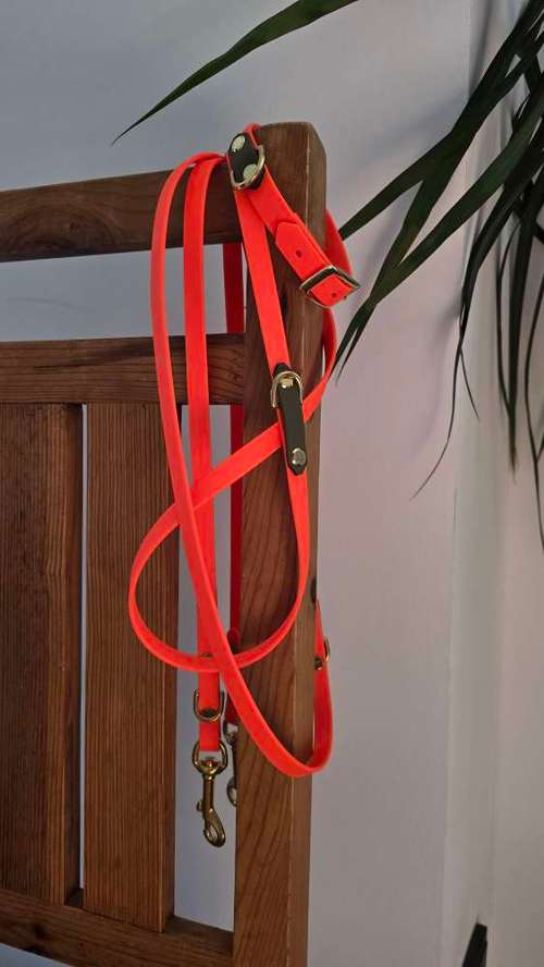 Hundeauslaufgebiet-Hund Kunterbunt-Bild