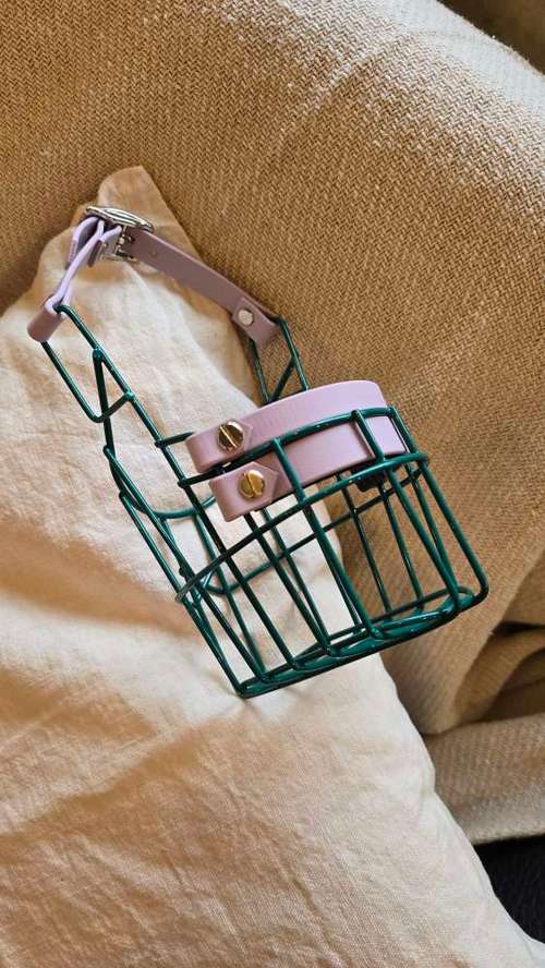 Hundeauslaufgebiet-Hund Kunterbunt-Bild