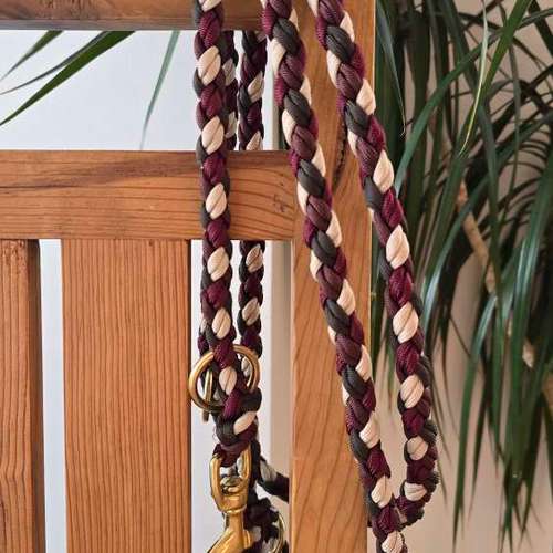 Hundeauslaufgebiet-Hund Kunterbunt-Bild