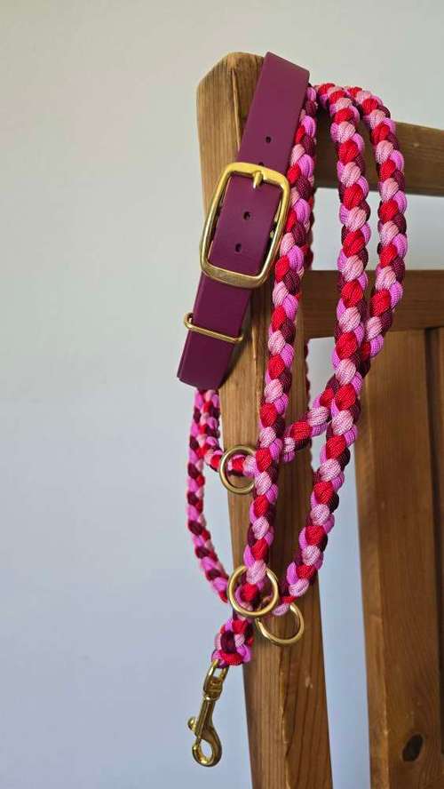 Hundeauslaufgebiet-Hund Kunterbunt-Bild