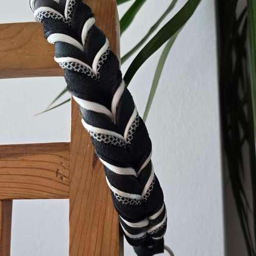 Hundeauslaufgebiet-Hund Kunterbunt-Bild