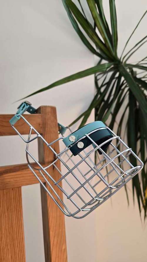 Hundeauslaufgebiet-Hund Kunterbunt-Bild