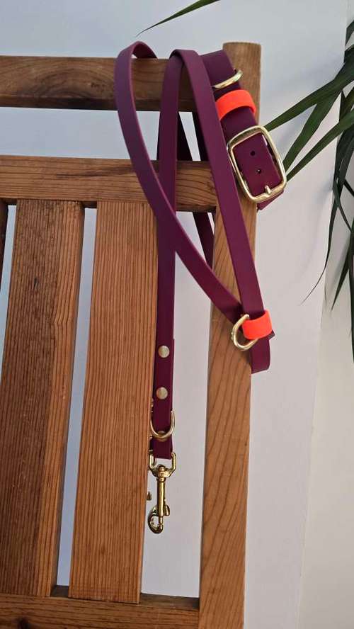 Hundeauslaufgebiet-Hund Kunterbunt-Bild