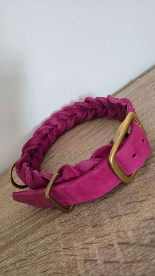 Hundeauslaufgebiet-Hund Kunterbunt-Bild