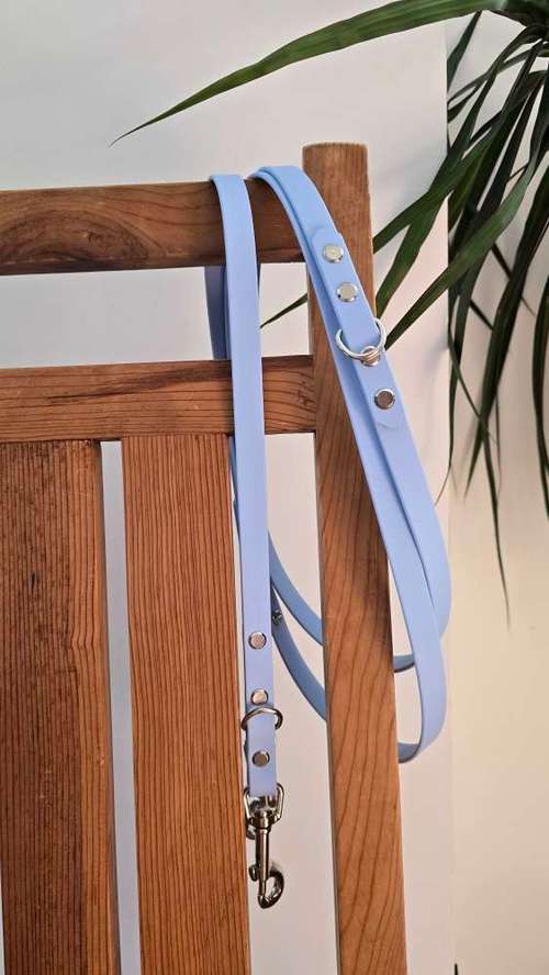 Hundeauslaufgebiet-Hund Kunterbunt-Bild