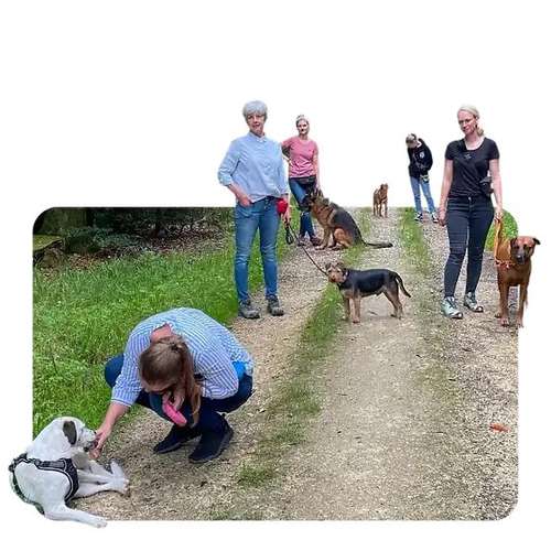 Hundeauslaufgebiet-Wolf's Instinkte - Deine Hundeschule-Bild